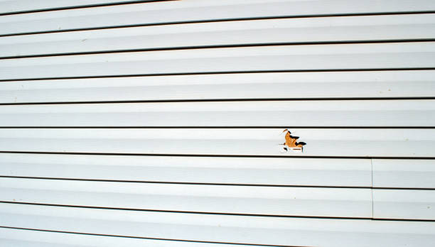 Best Fascia and Soffit Installation  in Nibley, UT